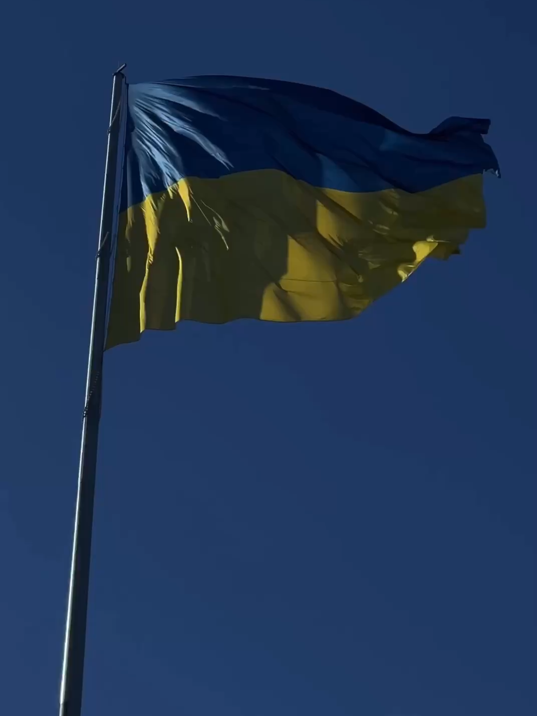З Днем Незалежності, УКРАЇНО! #музикаукраїнською #українськіпісні #музикаукраїни #українськамузика #музика
