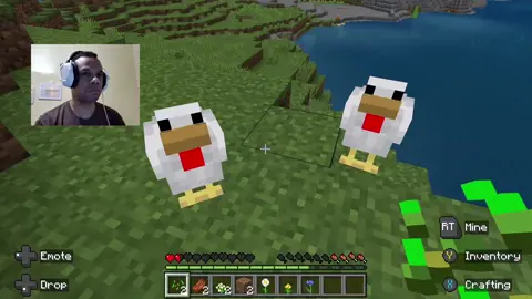 Minecraft 
