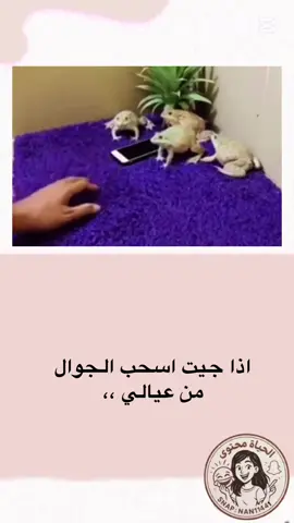 #الحياة_محتوى 