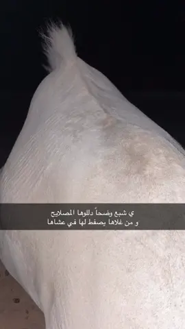 #البل_عطايا_الله_عشاق_البداوه_🐪😍 #افلح_من_ذكر_الله #اكسبلورexplore 