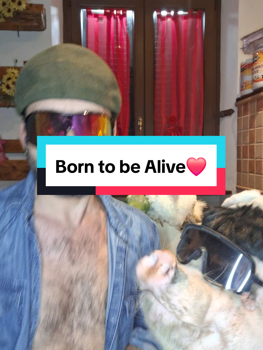 #funnyvideos #videodivertenti #comico #risate 