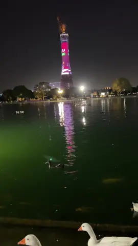 #dohaqatar🇶🇦 #foryou #fypシ #foryoupage #viral_video 