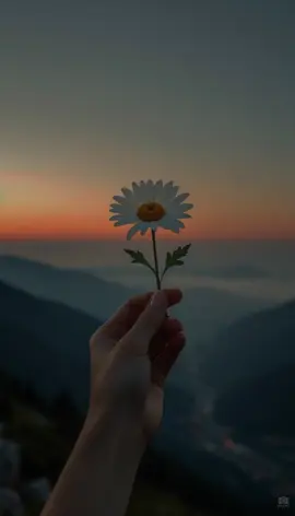 #kheyria♥️✔💫 #dhiirigalin #plzviral🥺🥺🙏🙏foryoupage #fallowme👈 #yaasirmuqtaar waan ogahay waxaad igu sameyneysid ☝🏻
