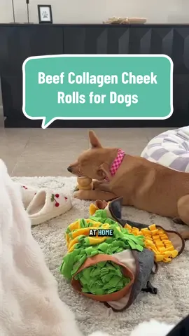 She looooves them and we love them because they’re all natural, grass-fed beef. 👏🏻 #dogsoftiktok #dogchews #puppytiktok #dogmoms #tiktokshopcreatorpicks 