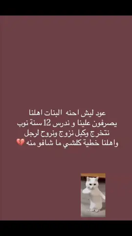 #عود #ليش #مابيه_حيل_اخلي_هاشتاكات🗿💔اكسبلور_تيك_توك 