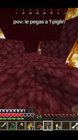 salgaaaaan🗣️#Minecraft #nether #piglins 