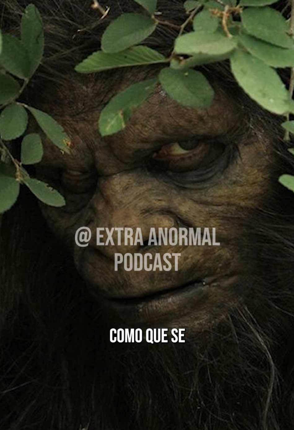 El gigante de la cueva | Live 038 #relatosdeterror #extranormal #miedo 