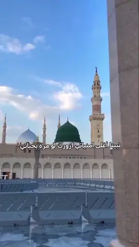نبينا أغلى امنياتي ازورك لو مره بحياتي🥹🤍 #إلا_رسول_الله   ‎#محمد_رحمة_للعالمين   ‎#عمره  ‎#اكلسبور  ‎#اللهم_صل_على_محمد