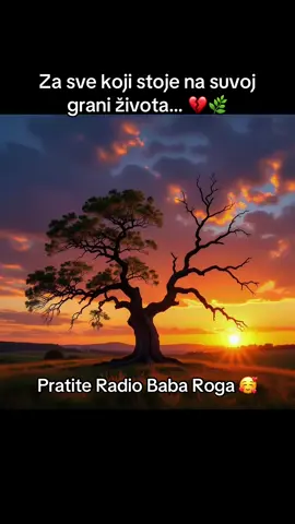 Hej živite, hej sudbino- Mile Kitić  (audio 1986)   Jedno stablo, a dve sudbine… 🍂🌿 Koja je tvoja grana? 👇 Prati Radio Baba Roga za još ovakvih emocija 🎶 #narodnjaci #narodamuzika #balkanmusic #MileKitic #fyp