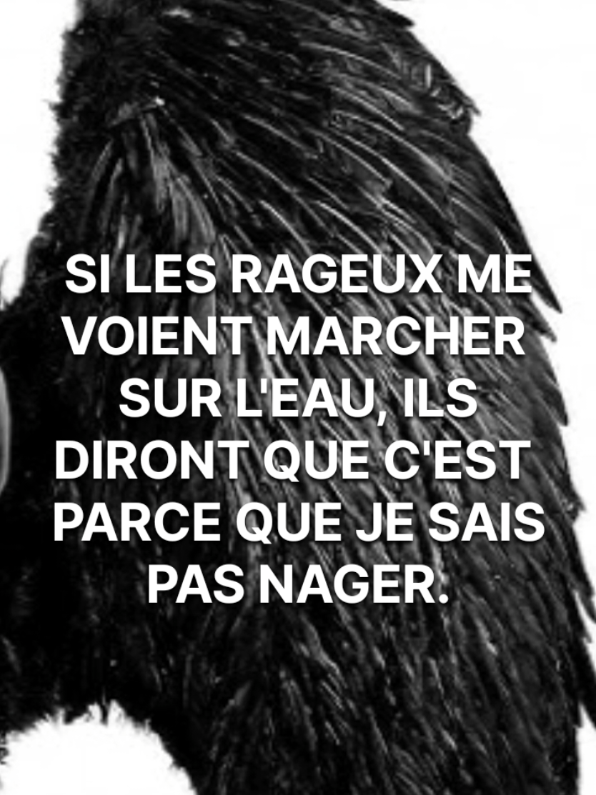 Réponse à @focushumour25 Quand tu brilles, les rageux portent des lunettes noires. Youssoupha avait déjà capté le délire 🔥 #Punchline #RapFr #Rageux #FYP #Motivation