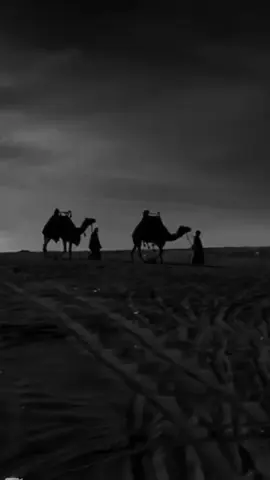 يا رسول الله تعبنا في هذه الدنيا#مواعظ #استوريات #حالات #خواطر #for 