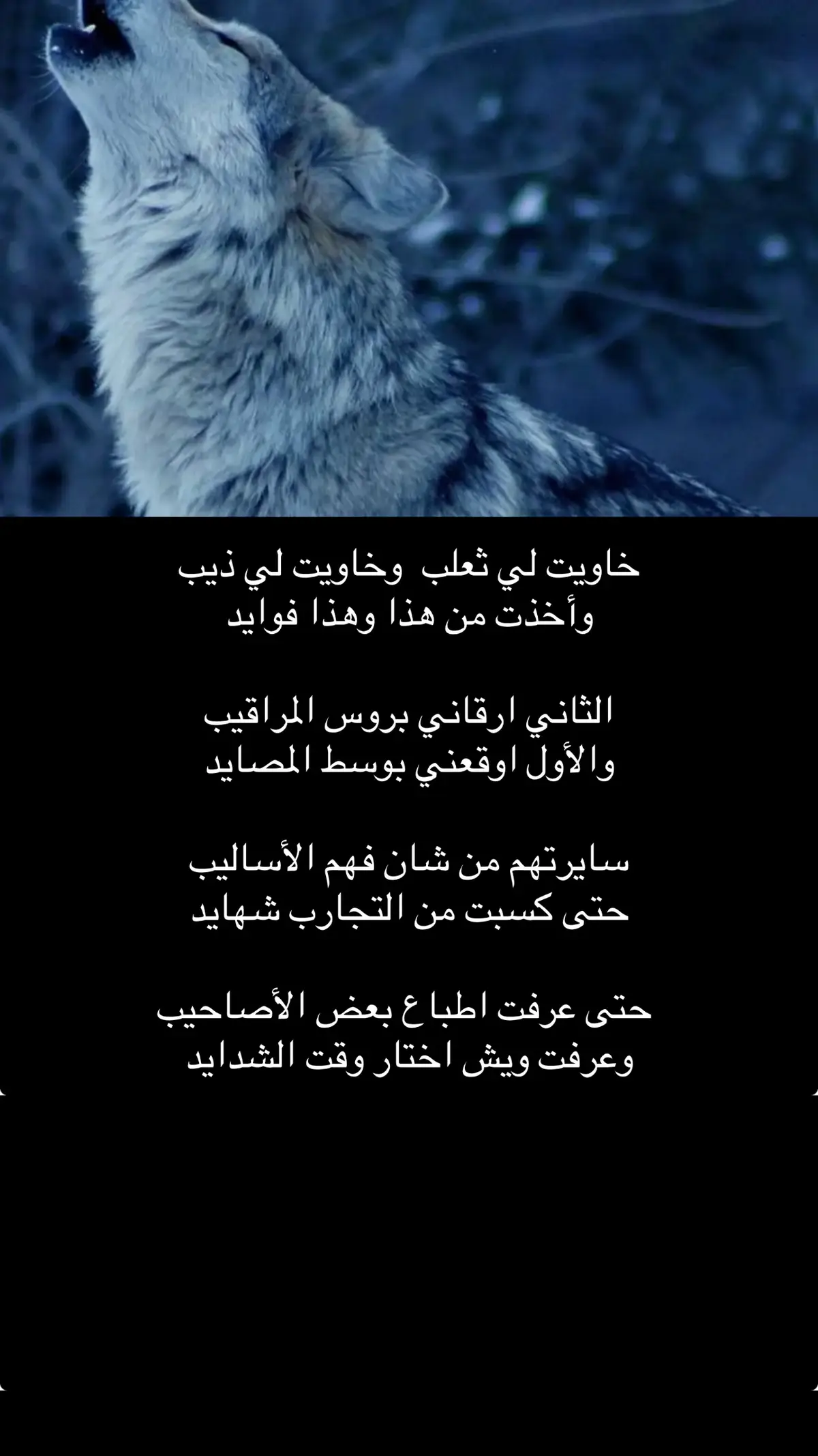 #قصيده_شعر_بوح_خواطر #سنابي_بالبايو🤍 #اضافه_سناب #متابعه_ولايك_واكسبلور_فضلا_ليس_امر #الشعب_الصيني_ماله_حل😂😂 #قطر_الدوحة🇶🇦 #النداوي🇶🇦 
