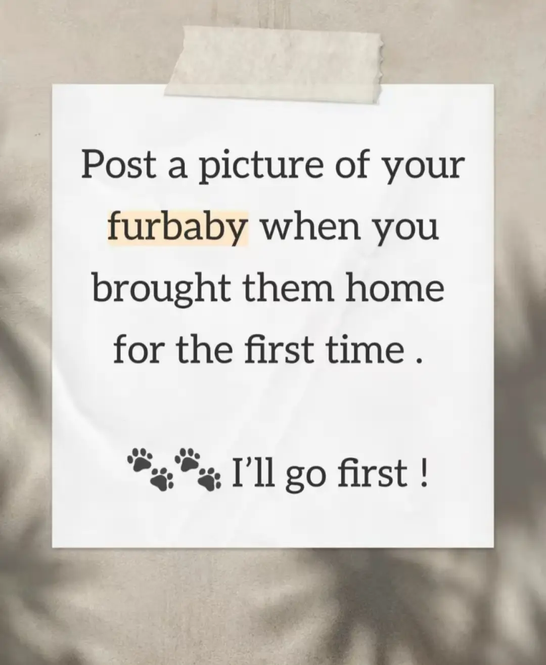 inspired by @Latte | The English Bulldog 🐶  #dogtiktok #foryoupage❤️❤️ #cute #puppiesoftiktok #fypシ 