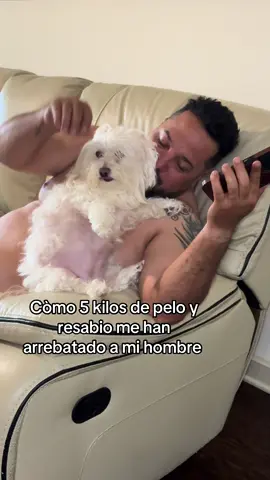 Còmo llegamos a esto ? Hahaha #tiktok #foryour #petlovers 