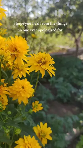 Healing #journey #heal #hope #flowers #yellow 
