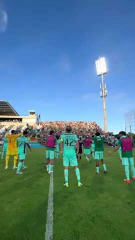 Esta UNIÃO ⛓️ Obrigado, Sportinguistas 💚 #CDNSCP #SportingCP #TikTokDesporto 