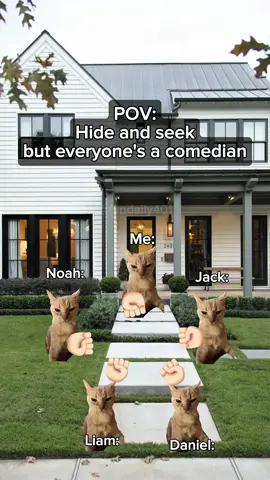 Hide and seek but everyone's a comedian #catmeme #catsoftiktok #relatable 