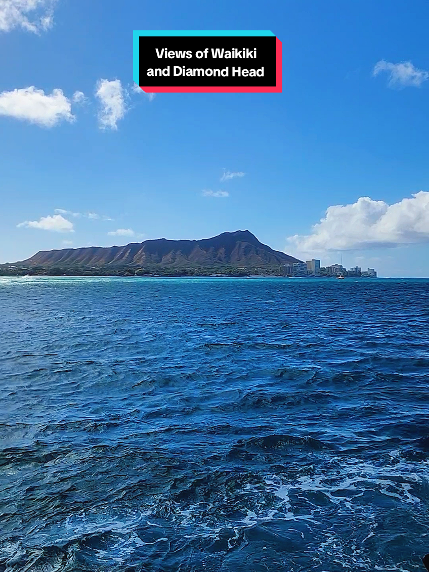 📍Views of Waikiki and Diamond Head  #hawaiiglassbottomboat #pacific #ocean #waikiki #diamondhead #honolulu #oahu #island #hawaii #paradise #explore #travel #Summer #vacations #memories #foryoupage 