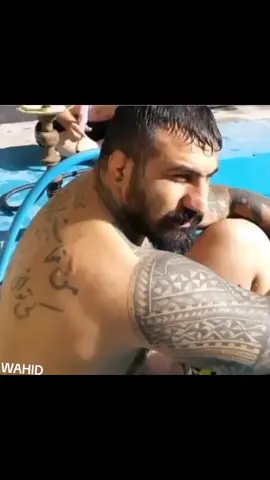 اقا- وحيد-مرادي-البطل -وحش-ايران -نسر-عقاب روحت-شاد -زعيم-مافيا -الوحش المصمم 🦅🔥