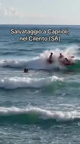 #cilento #salerno #caprioli 