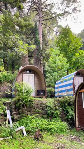Danohi Forest Rest House.🏡 Kotli sattian.✨❤️#foryou #foryoupage #moinsatti1 #viral #fyp 