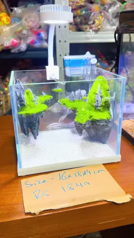 🐟 Bring Life to Your Space – New Small Aquariums In Stock! 🐟 Looking to brighten up your home, office, or gift someone something special? Our compact and stylish aquariums are the perfect choice! Easy to maintain and beautifully designed — they’re great for beginners and seasoned fish lovers alike. 🎁 Ideal as a thoughtful gift 🏠 Perfect fit for small spaces 🐠 Great for kids and first-time fish owners ✨ Add a touch of nature to your everyday life! 📍 Now available at Adil Petlovers Ltd 🛒 Visit us today or shop online! 📲 WhatsApp: 5882 1270 / 5781 1978 🌐 www.adilpetlovers.com 🚚 Doorstep delivery available anywhere in #Mauritius (delivery fee applies) 🐠 Dive into pet happiness with Adil Petlovers Ltd! 💙