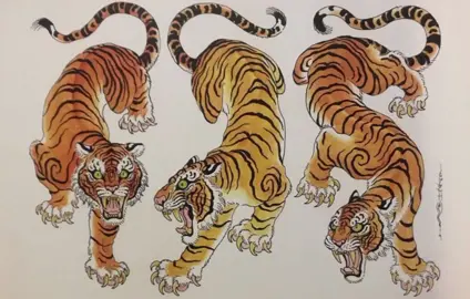 The legendary tiger #fyp #tiger #japanese #japan #drakon #china #chinese 