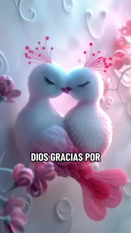 #oracion #señorgaciasportodoloquemebrindas