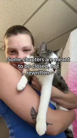 Life is too short to focus on the past, Live for your future!🦋 💛GoFundMe💛 #cat #fyp #fypシ #foryou #foryoupage 