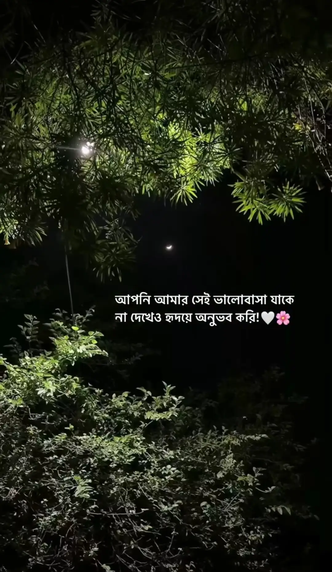 আপনি আমার সেই ভালোবাসা যাকে না দেখেও হৃদয়ে অনুভব করি!😊❤️‍🩹#foryoupageforyou #tiktokviral #bangladesh🇧🇩 #viralvideo #viraltiktok 