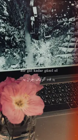 #foryou #foryoupage #for 