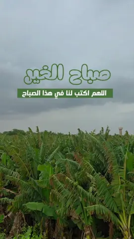 #صباح_الخير #صباحكم_معطر_بذكر_الله 
