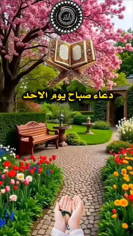 #دعاء_يوم_الاحد #صباح_السعادة_لقلوبڪم_الطّيّبــۃ🌸 #صباح_الخير #دعمكم_وتشجيعكم_يهمني_ليصلكم_كل_جديد💔 