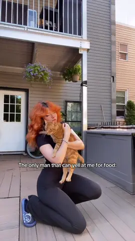 And beat me up too #fyp #cat #cats