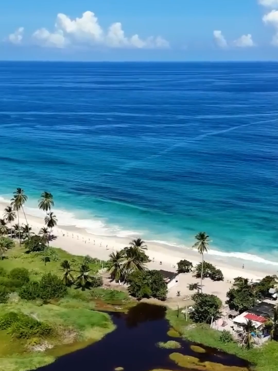 Bienvenido a Venezuela 🌴🌊 (by Michelle Thielen) #michellethielen09 #viajandoconvero #venezuela🇻🇪 #parquenacionalmorrocoy #paraisotropical