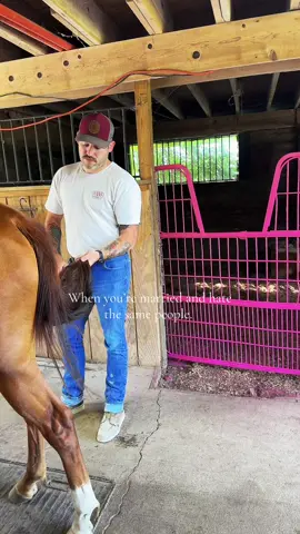 Oh no no it’s fine. 💅 #fyp #married #pinkponyclub #viral #funny 