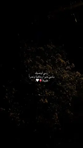 #لايكات 