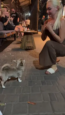 Лукі топ 
