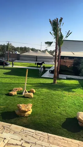 #السعودية #الرياض #العيينه #trend 