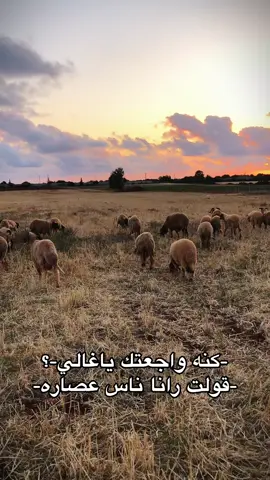 كنها وجعتك ياغالي#محتوى  