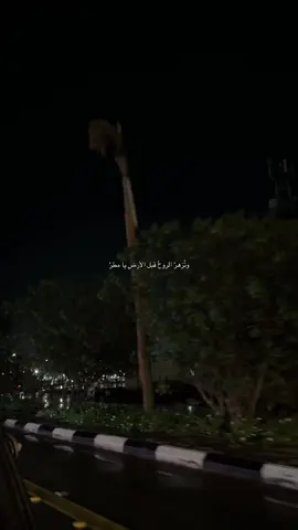 🤍🤍🤍🤍. #جازان_الان_صبيا_جازان_صبيا #اكسبلورexplore_فولو #اكسبلورexplore❥ #حديقه_صبيا_العامه #مطر 