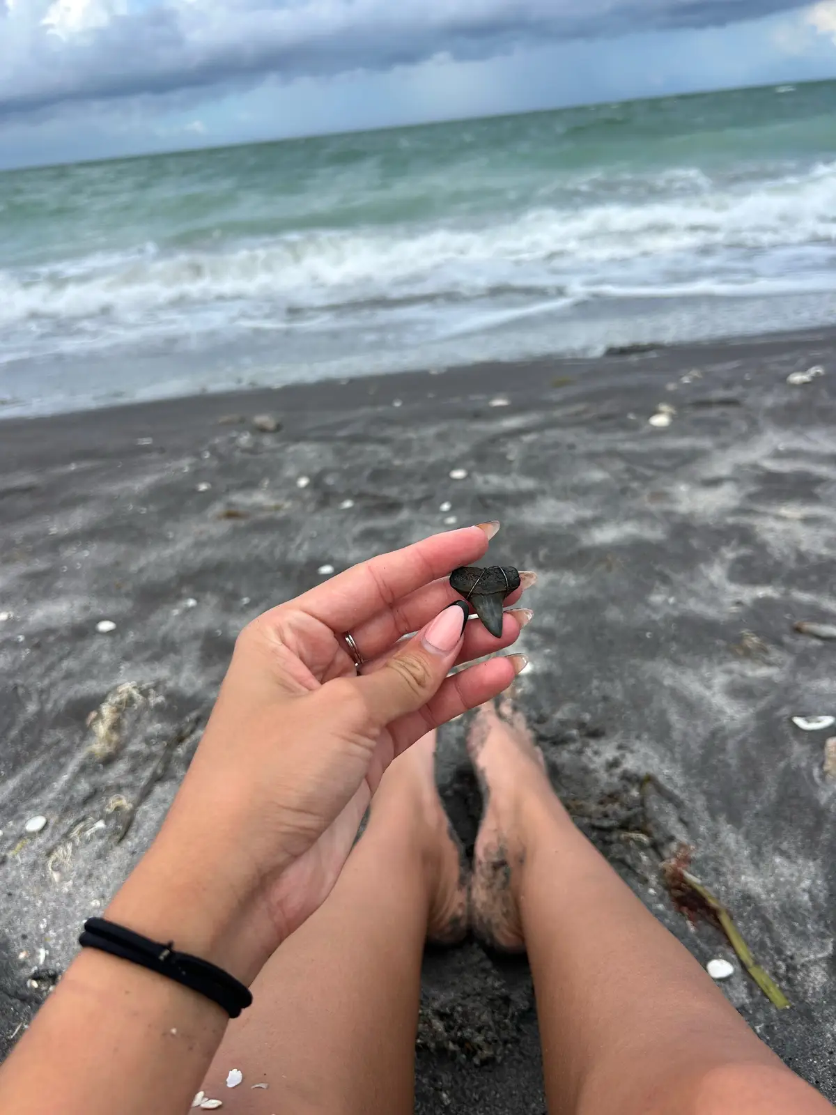 #swfl 🦈🦈 