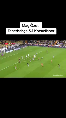 Maç Özeti  Fenerbahçe 3-1 Kocaelispor #fenerbahçe #kocaelispor #süperlig #keşfet 
