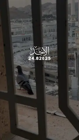 في صباح يوم الأحد وفي أول يوم من شهر ربيع أول 🕊️#دعاء_يوم_الاحد #القران_الكريم_اكسبلوور 
