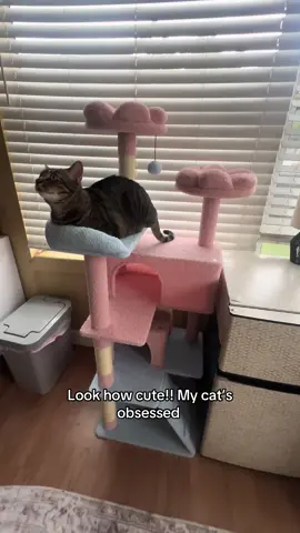 Actually so cute @Made4pets-us 