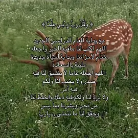 #دعاء#بدايه_خير_ان_شاء_الله #قران_كريم #اجر_لي_ولكم_ولوالدينا_وللمسلمين 