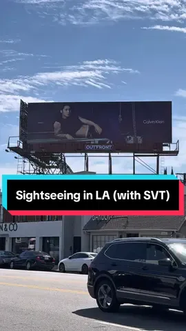 BEST SIGHTSEEING! Just trust me on this guys!  Have you guys seen these in person? Can’t believe I get to witness this beauty with my own two eyes!  Comment any other places I should go sightseeing! 👀 #kpop #seventeen #kpophumor #mingyu #mingyucalvinklein @SEVENTEEN @Calvin Klein 
