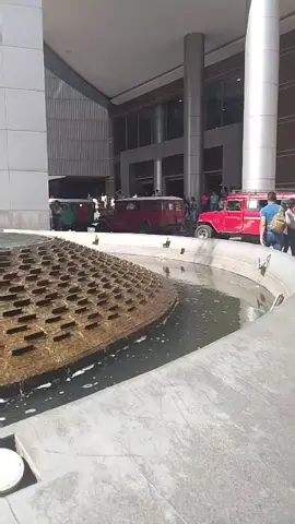 taxis líder 