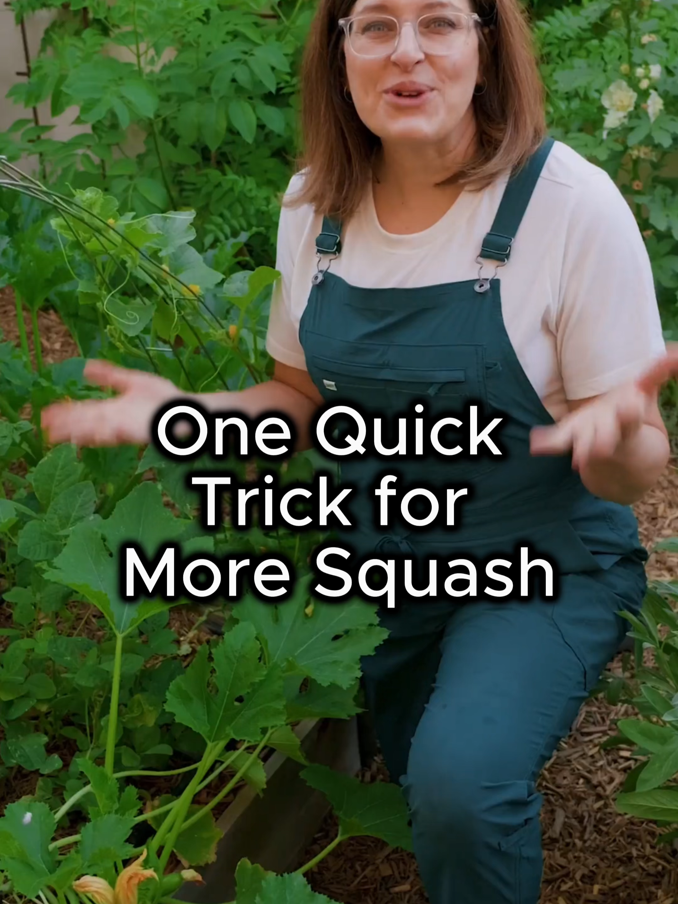 Your squash needs a little help sometimes—especially early in the season or when pollinators aren’t around. Hand pollination can make all the difference.  #SquashTips #PollinateYourPlants #GardenHack #HotClimateGardening #GrowYourOwnFood #GrowingInTheGarden