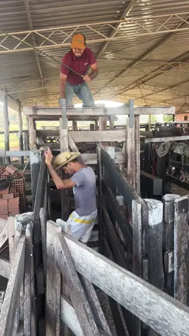 Agora tu achou a Nequinha 🤣🤣🤣